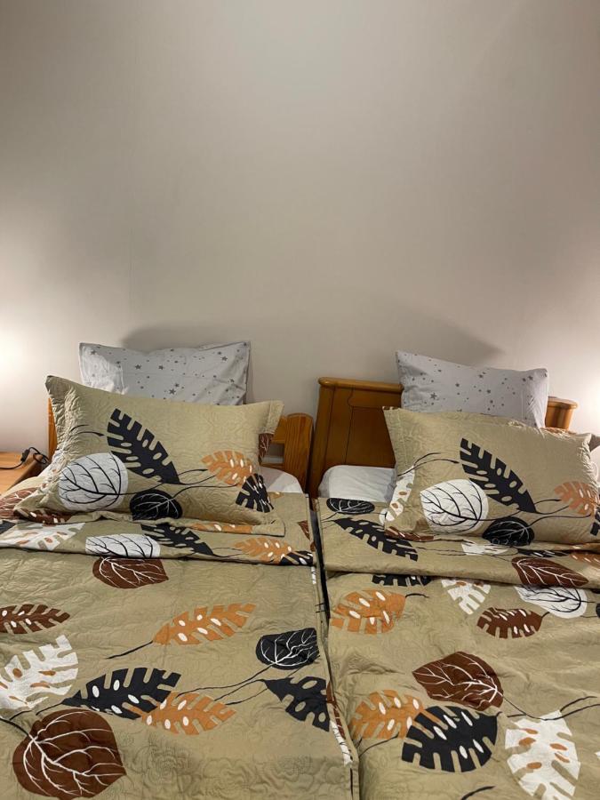 Appartement 3 Pieces Pour 1 A 5 Voyageurs Rillieux-la-Pape Dış mekan fotoğraf